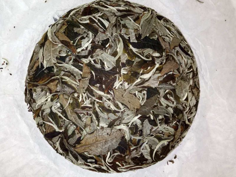 古树普洱茶特级