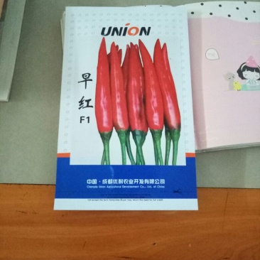 早红辣椒种