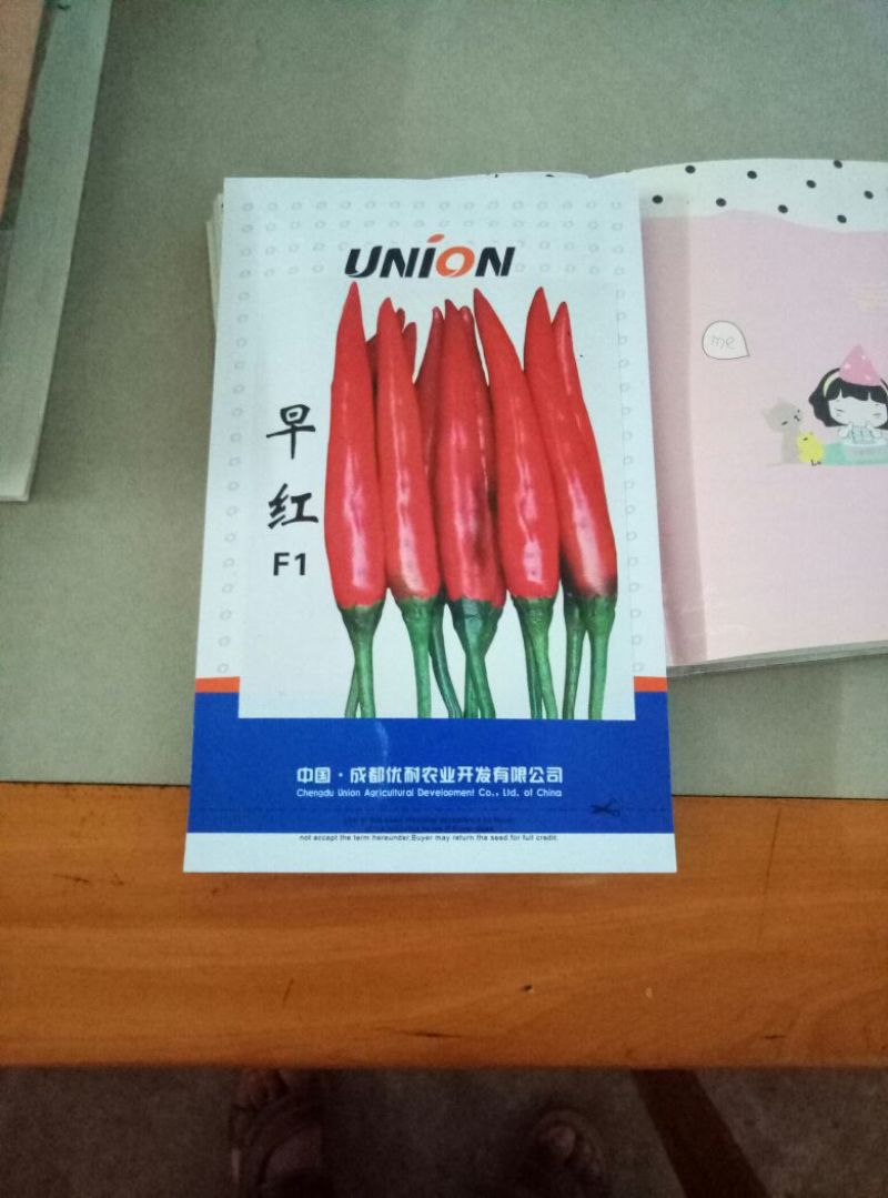 早红辣椒种