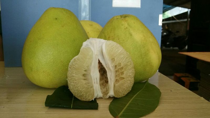 青柚2斤以上