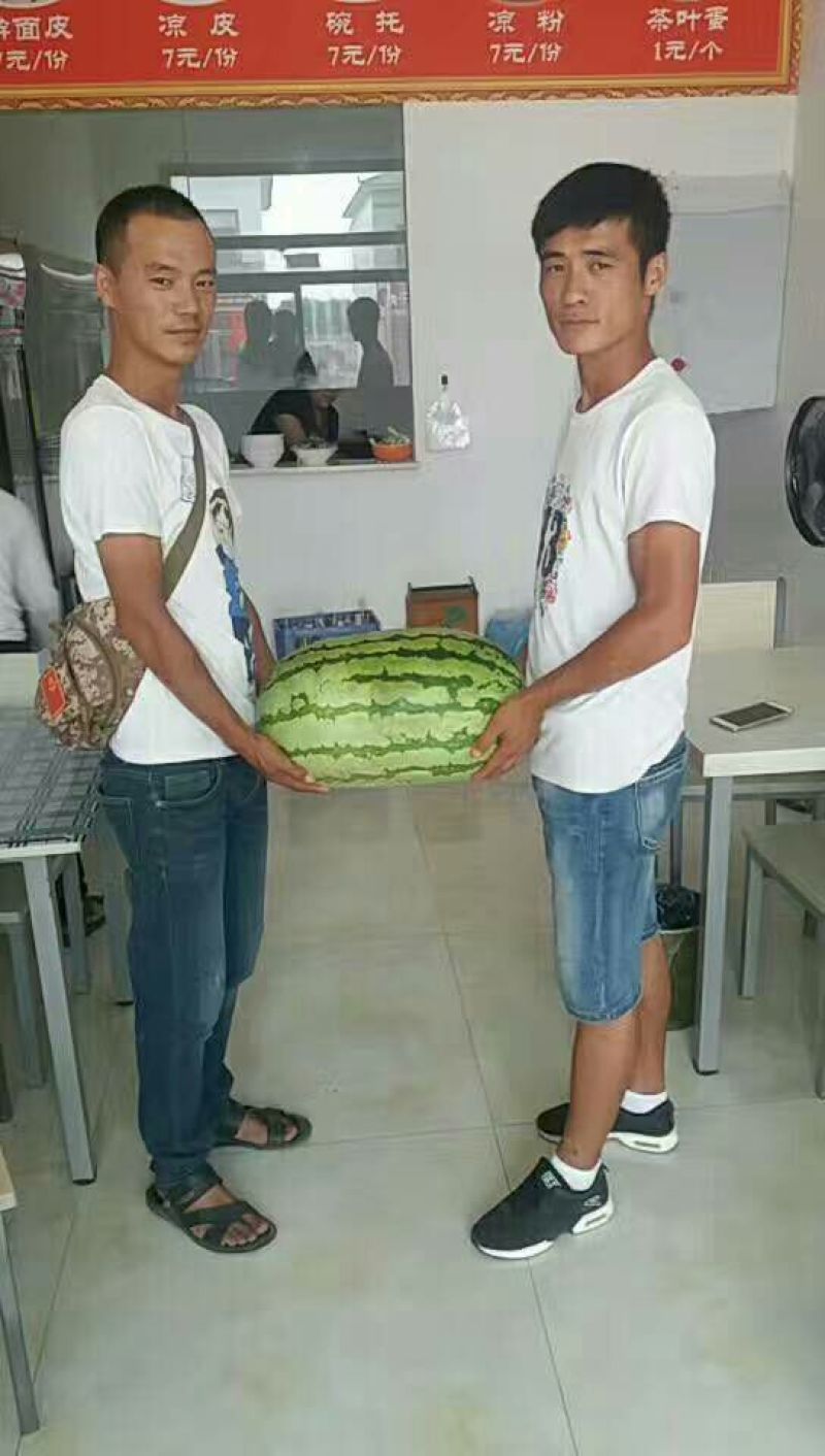 西瓜金花一号沙漠一号双红瓤口感甜度高皮薄