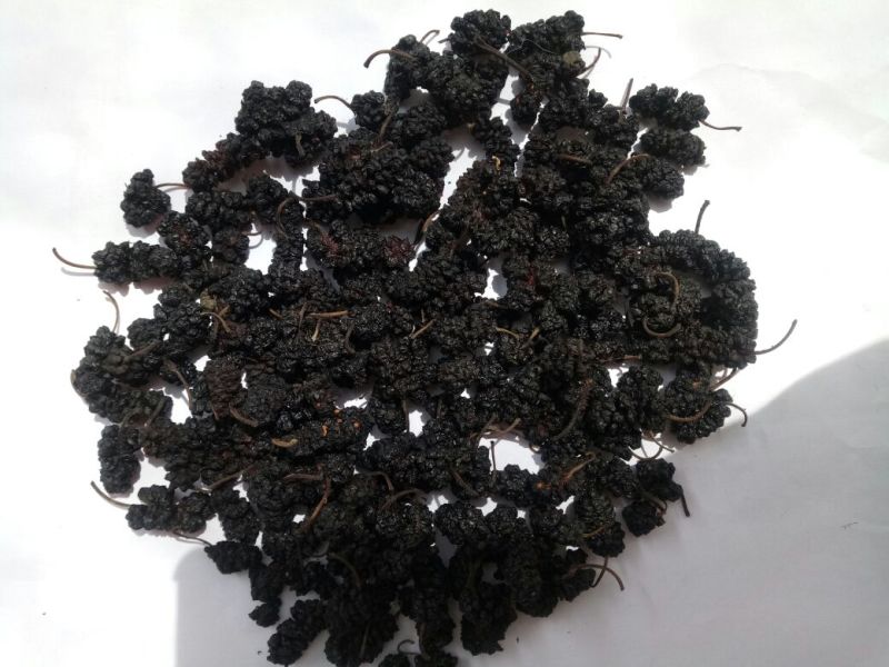 桑葚干食用四川干货口感好无泥沙2斤包邮量大从优