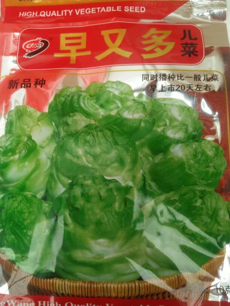 儿菜5两以上