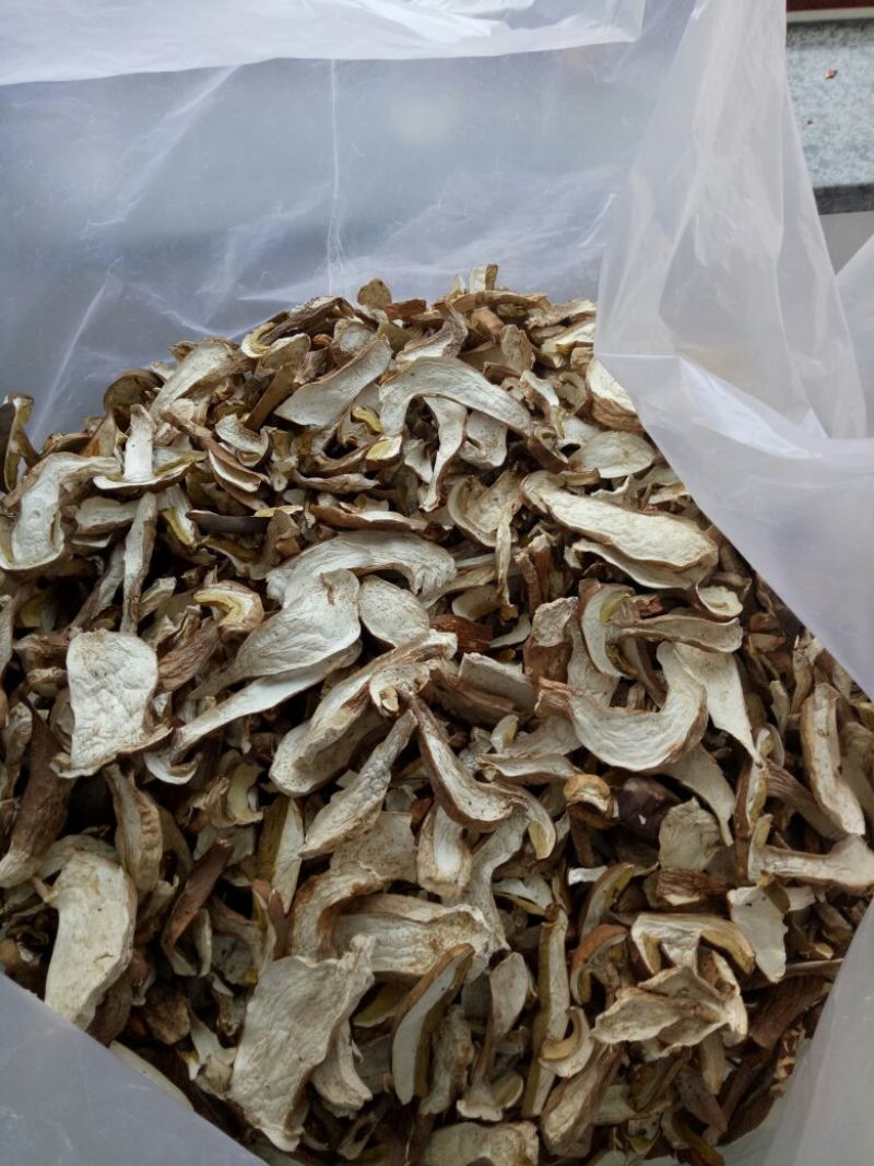 美味牛肝菌粗柄羊肚菌一级