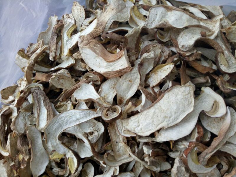 美味牛肝菌粗柄羊肚菌一级