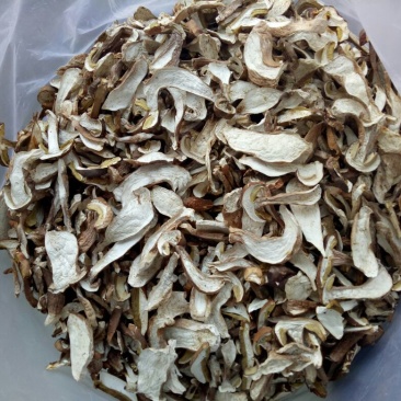 美味牛肝菌粗柄羊肚菌一级