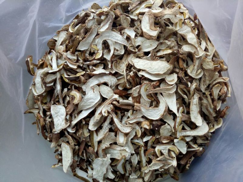 美味牛肝菌粗柄羊肚菌一级