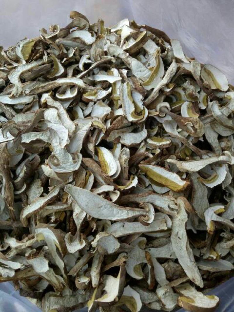 美味牛肝菌粗柄羊肚菌一级