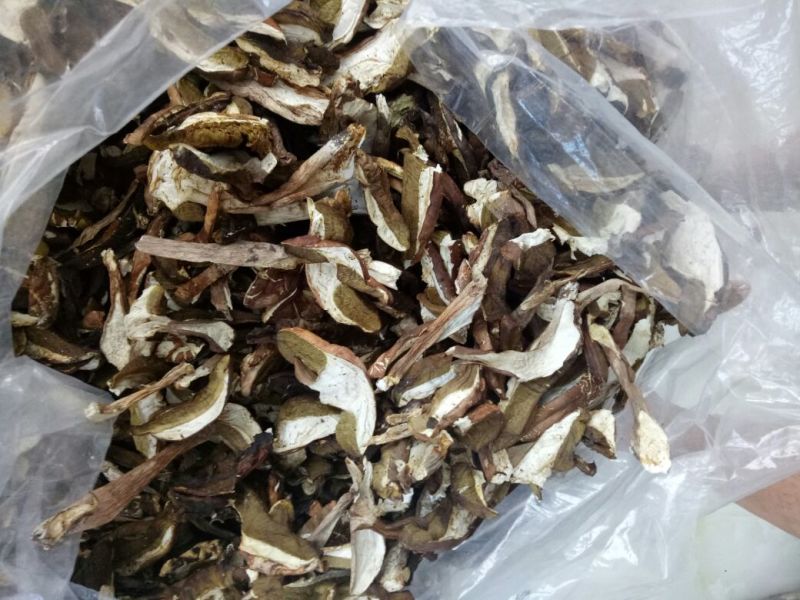 美味牛肝菌一级粗柄羊肚菌