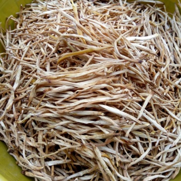 干黄菜