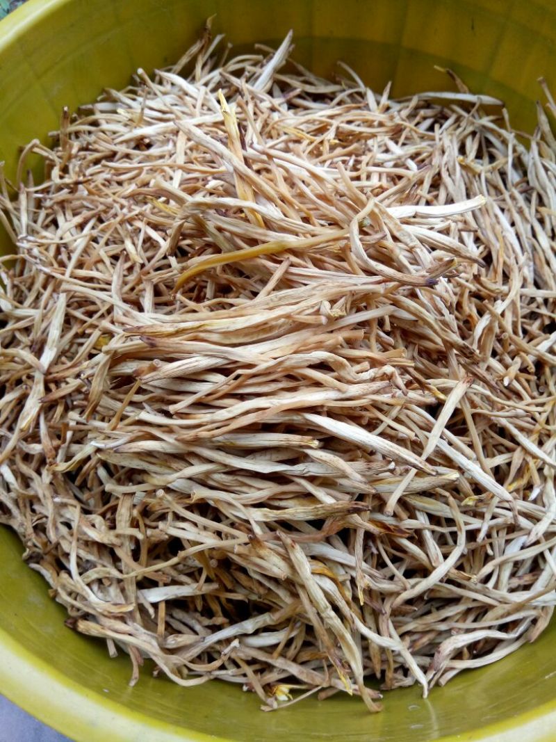 干黄菜