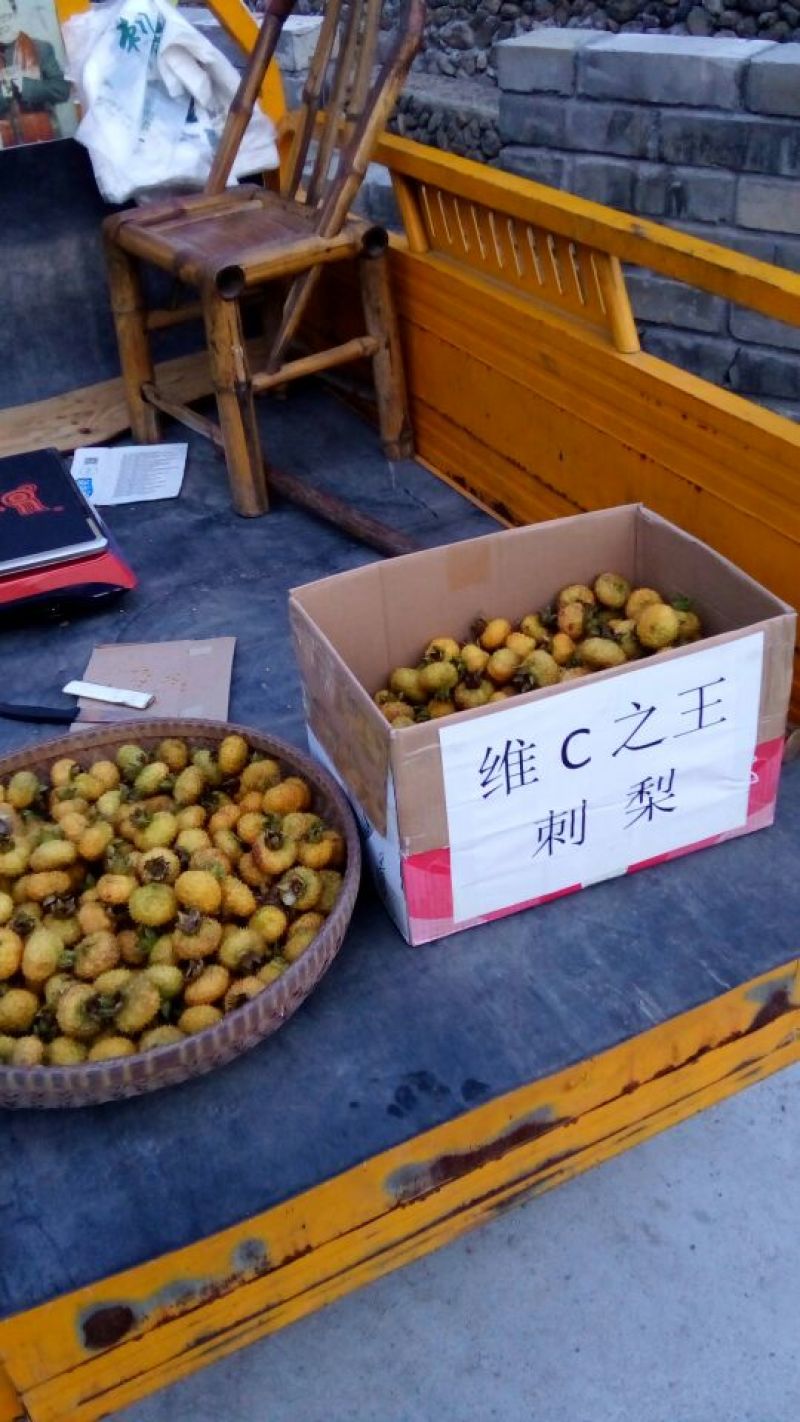 刺梨鲜