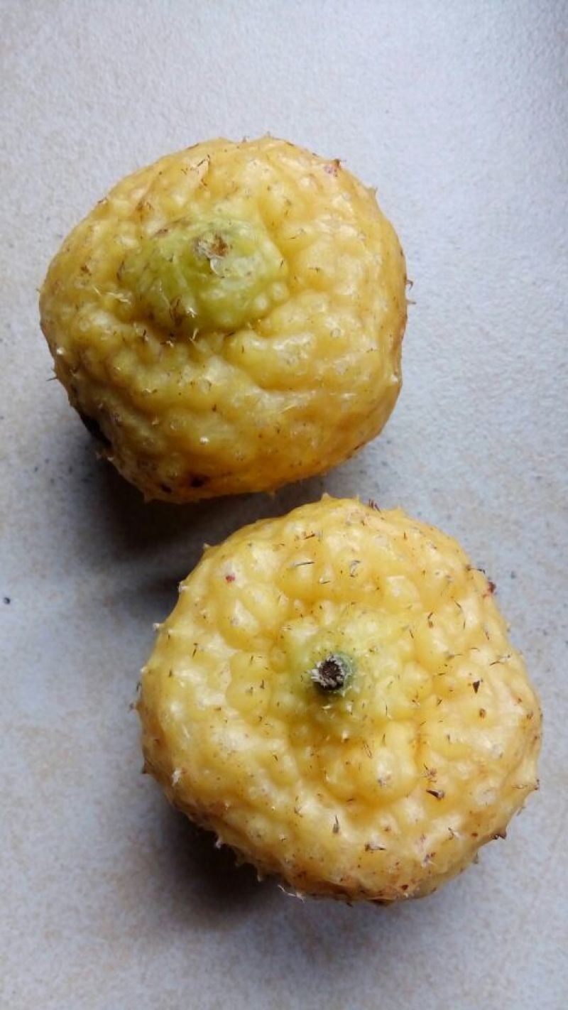 刺梨鲜