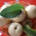 圆黄梨梨四川凉山纸袋200~500g