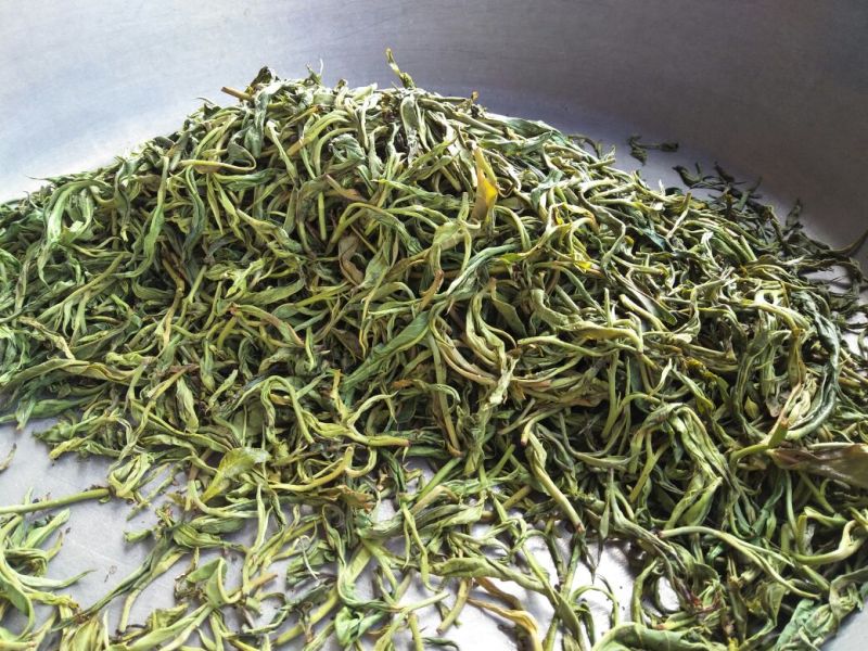 老树茶一级
