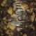 椴木烤干香菇3到6公分