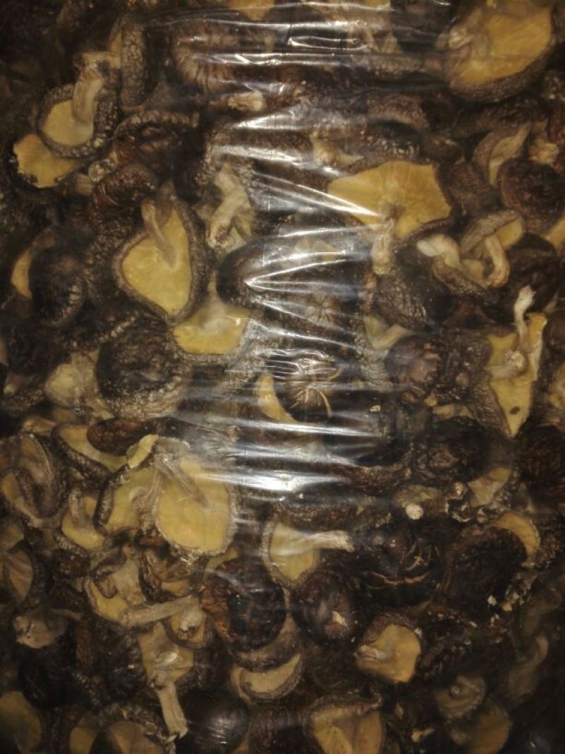 椴木烤干香菇3到6公分