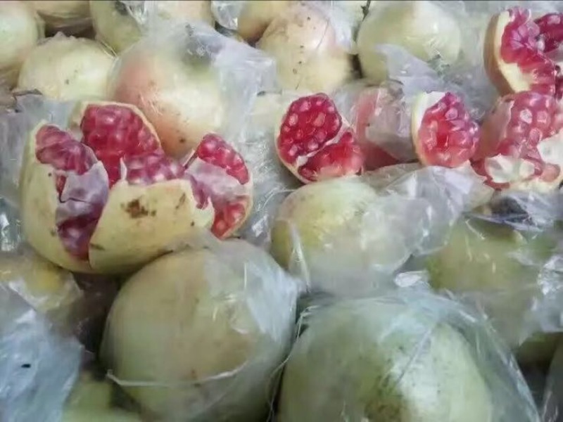 云南石榴3两~5两