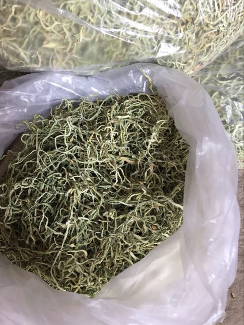 干豆角丝架豆王无丝豆条形细