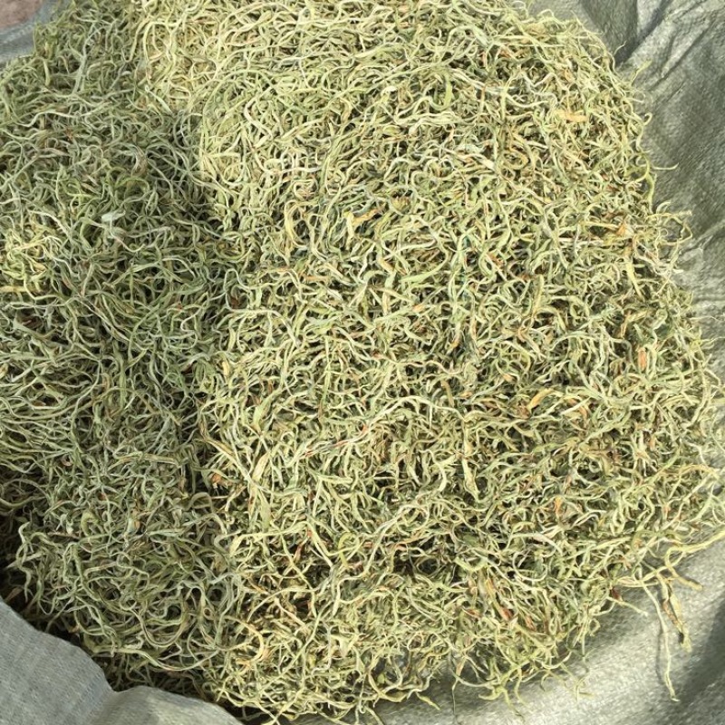 干豆角丝架豆王无丝豆条形细