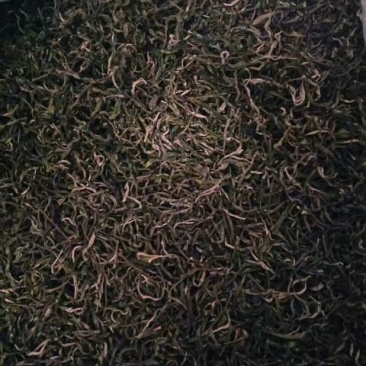 普洱茶特级