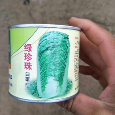 大白菜种子