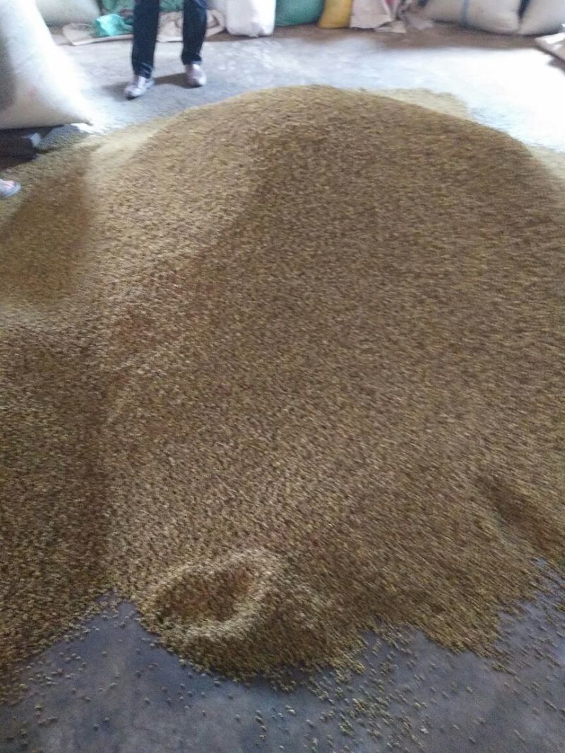 百万商家，实图拍摄山东花椒干早期青新货