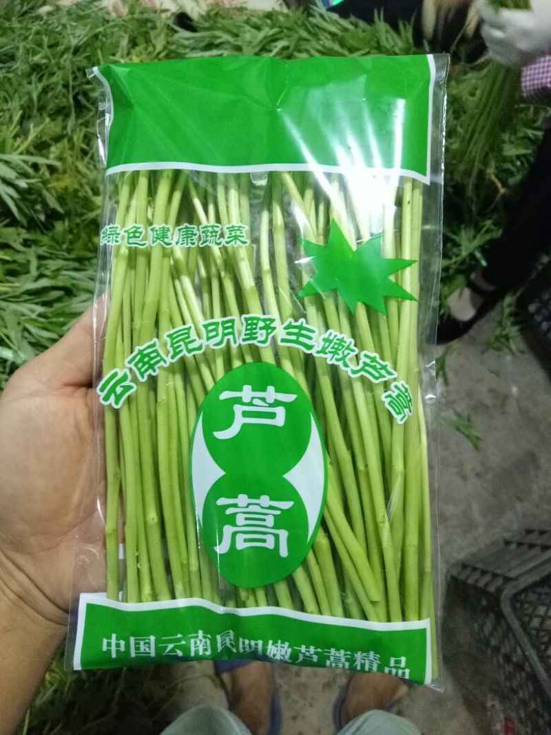芦篙