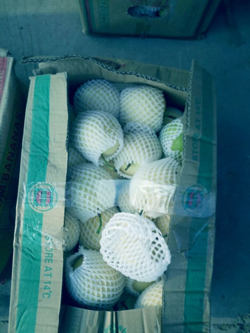 皇冠梨光果