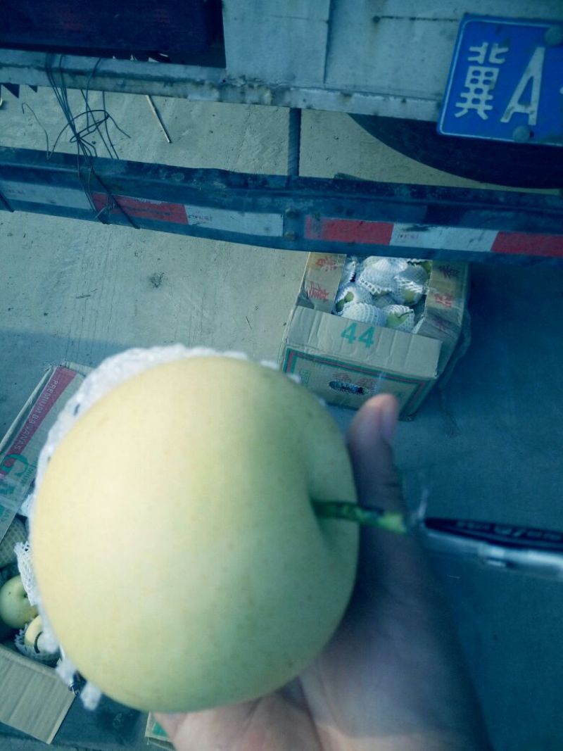 皇冠梨光果