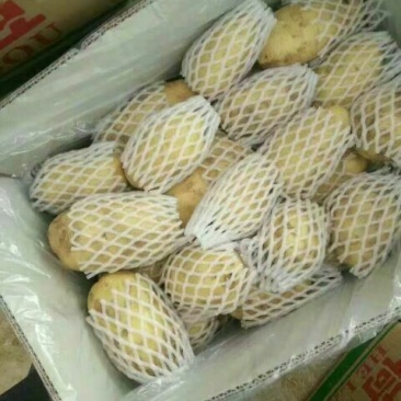 【品质保障】荷兰十五土豆产地直供3两以上全国发货