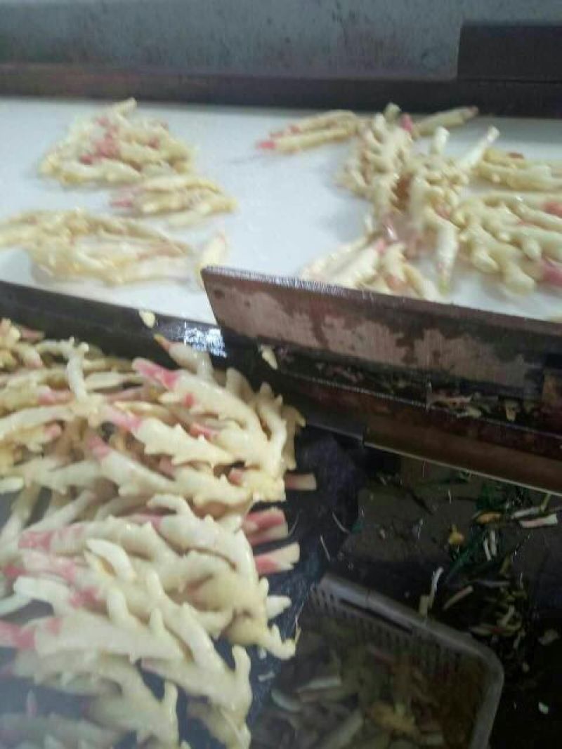 山东优质生姜5两以上小黄姜姜种大量供应产地直发对接全
