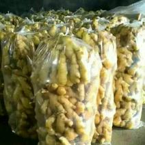 山东优质生姜5两以上小黄姜姜种大量供应产地直发对接全