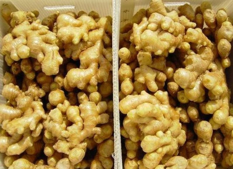小黄姜产地（大黄姜）一手货源全国发货量大从优