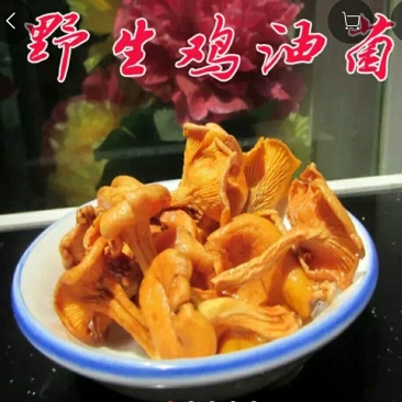 鸡油菌