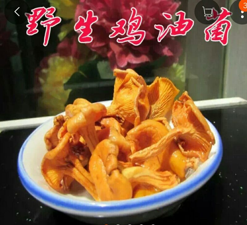 鸡油菌