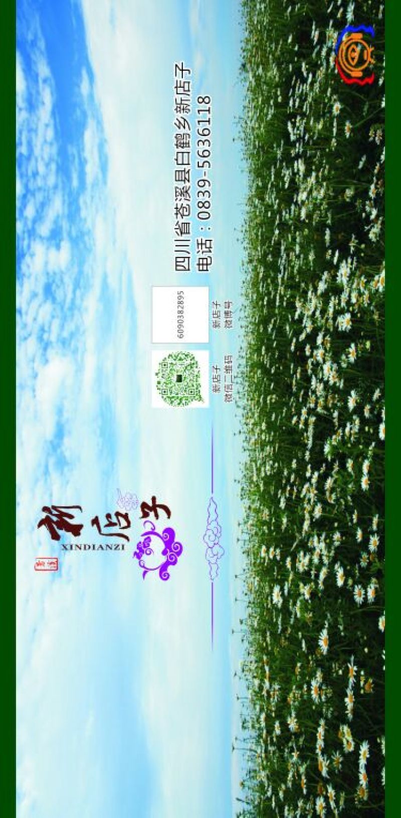 菊花茶特级