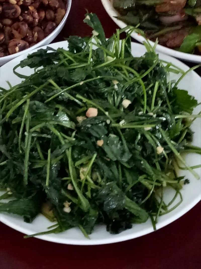 菊花茶特级