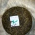 普洱茶特级