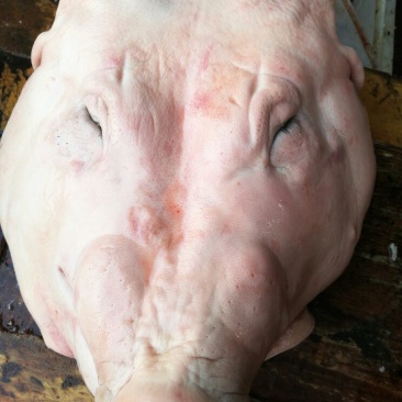 猪头肉包装