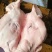 猪头肉包装