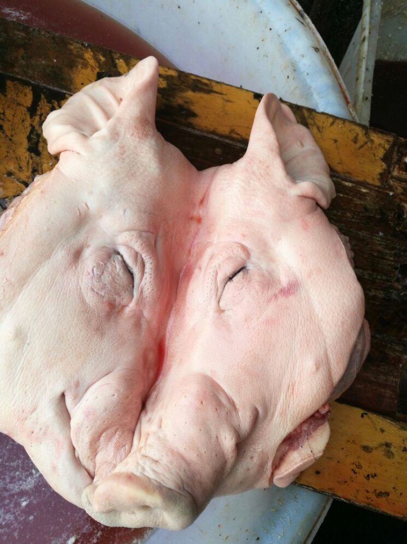 猪头肉包装