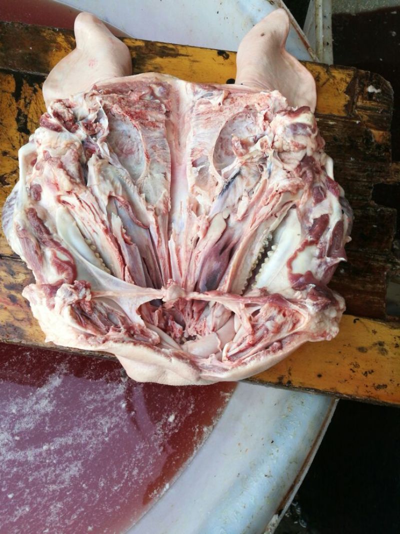 猪头肉包装