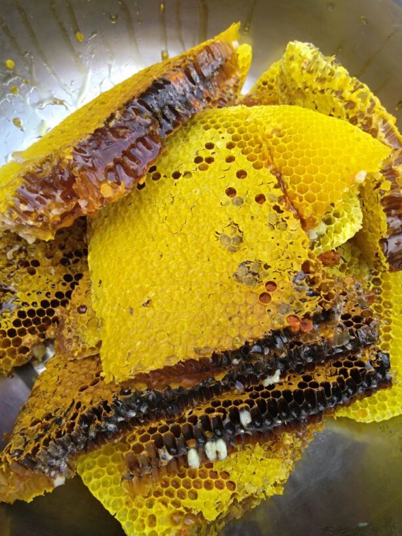 中蜂继箱装