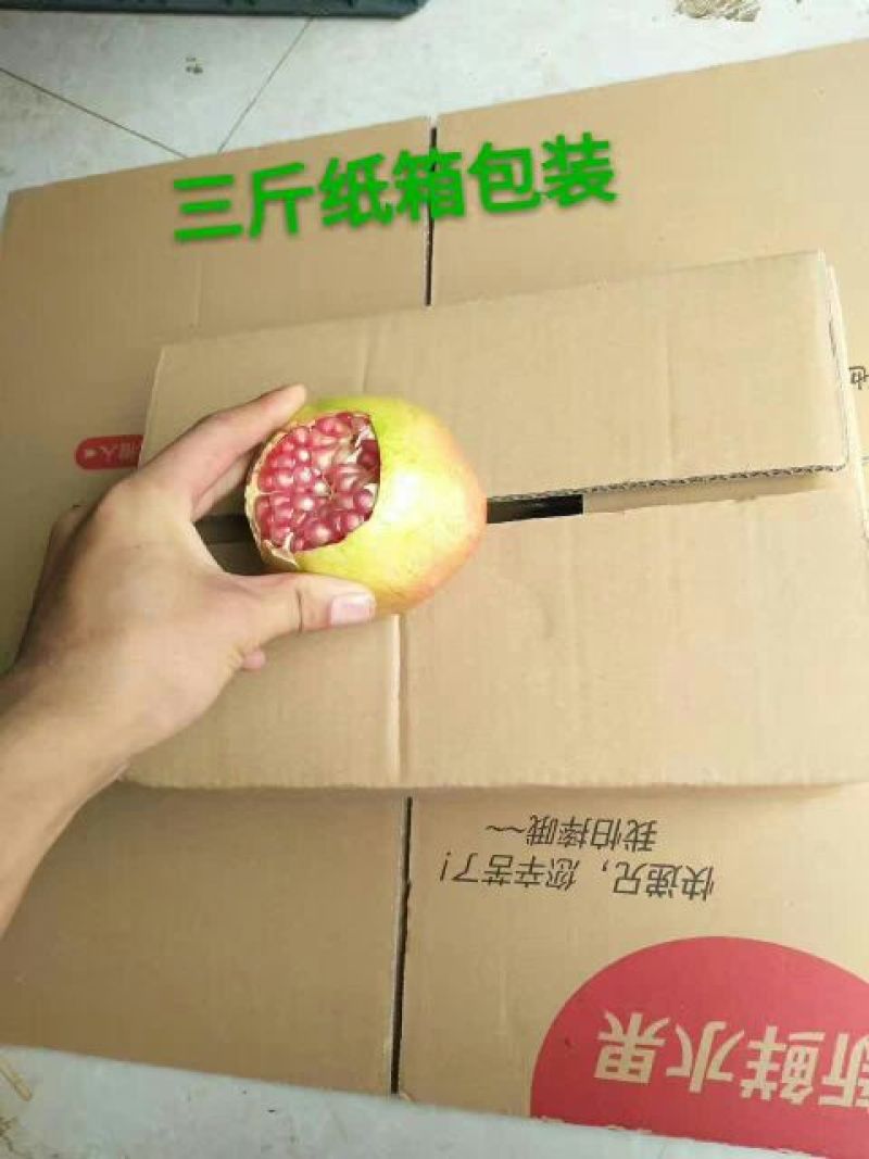 云南石榴3两~5两