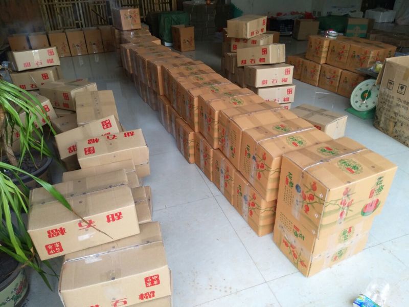 云南石榴3两~5两