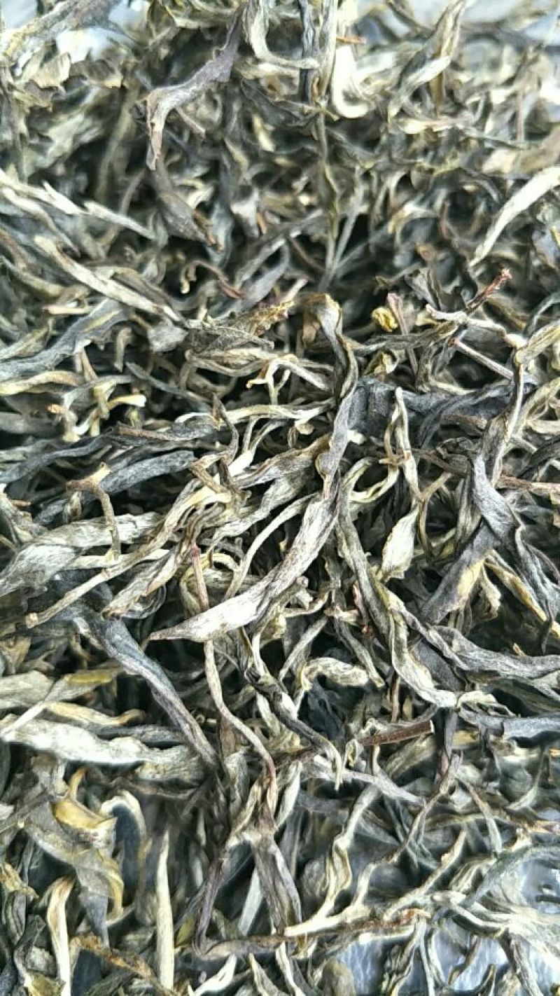 古树普洱茶一级