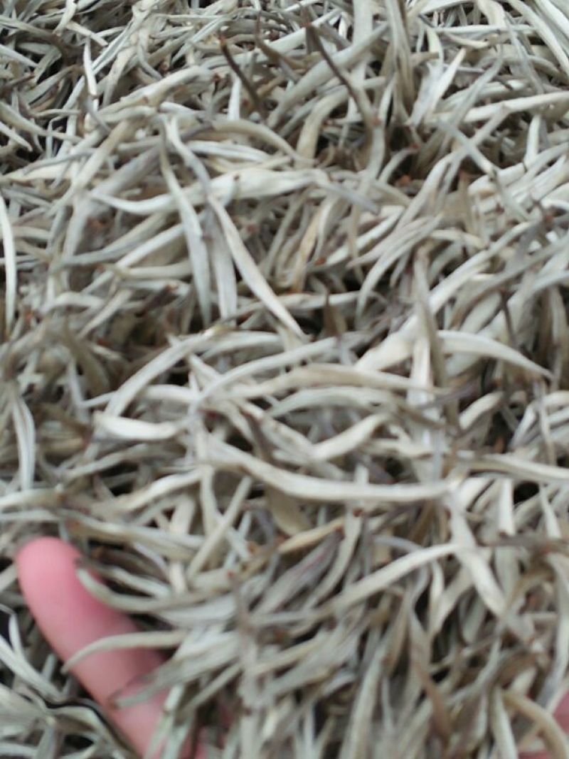 普洱茶特级