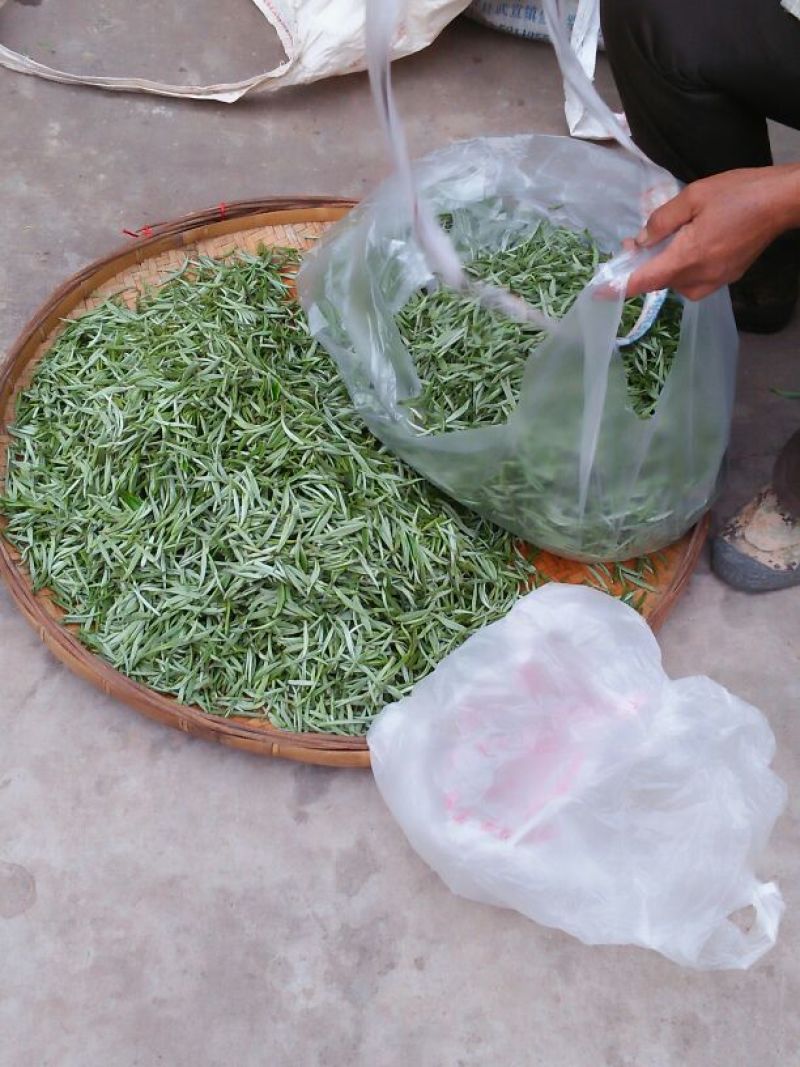 普洱茶特级