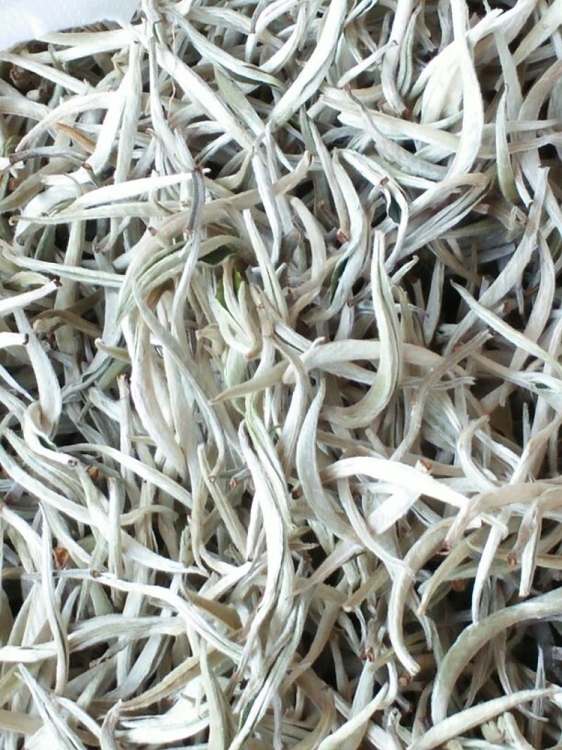 普洱茶特级